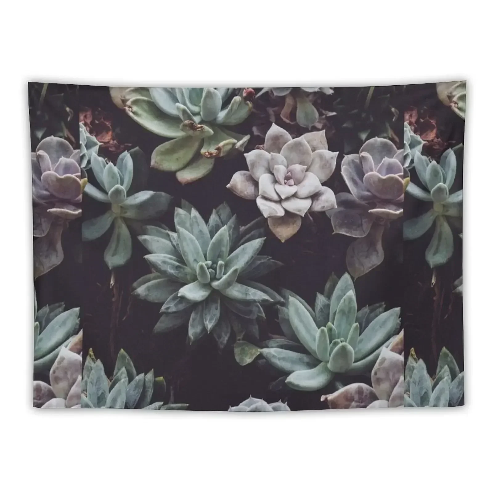Succulent 1 Tapestry Room Decor Korean Style Decoration Room For Bedroom Carpet On The Wall Tapestry
Succulent 1 Tapestry Room Decor Korean Style Decoration Room For Bedroom Carpet On The Wall Tapestry