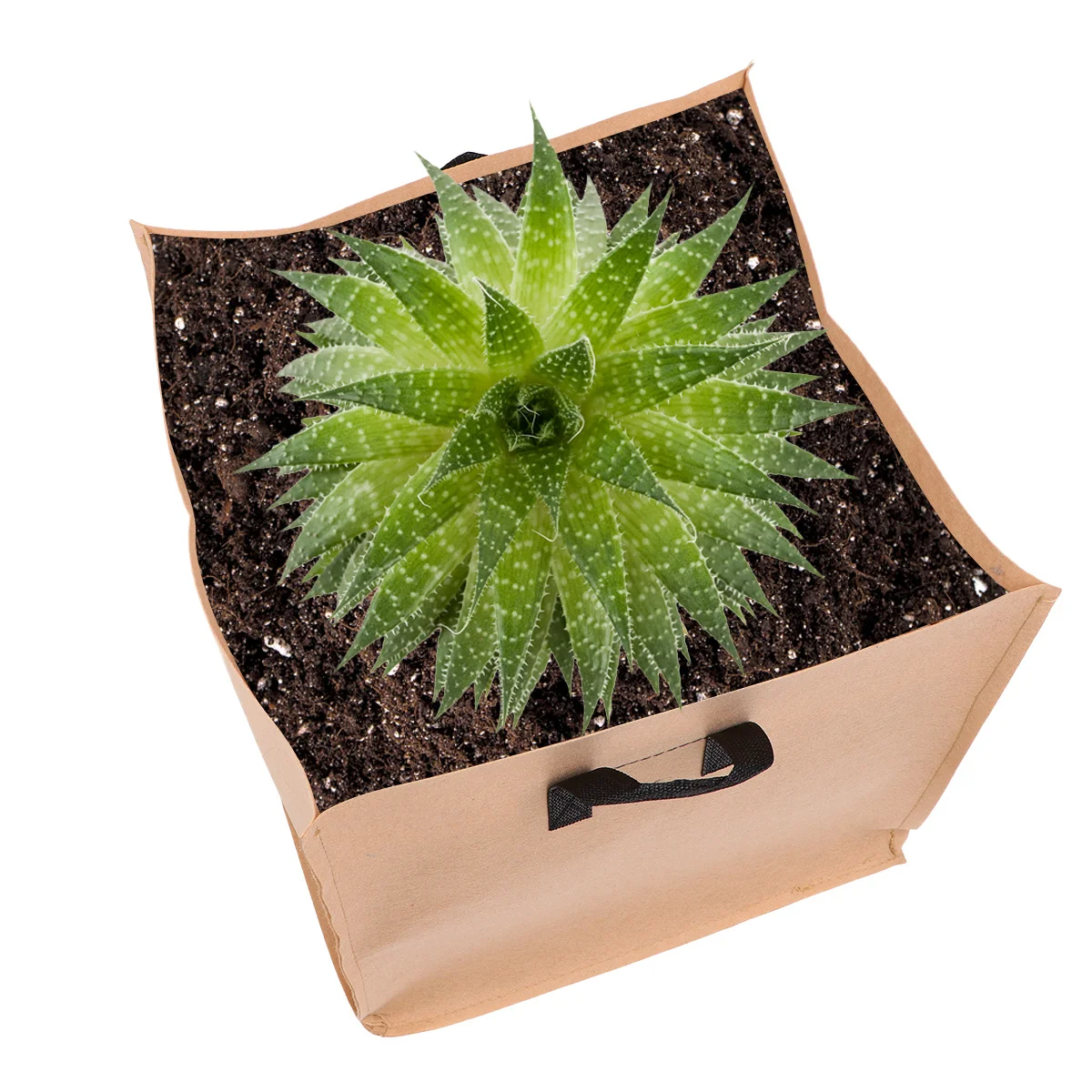 Planting Bag 16 Gallon Thickened Non Woven Fabric Grow Bag For Vegetables Sweet Potato Square 40X40X40 Cm Durable
Planting Bag 16 Gallon Thickened Non Woven Fabric Grow Bag For Vegetables Sweet Potato Square 40X40X40 Cm Durable