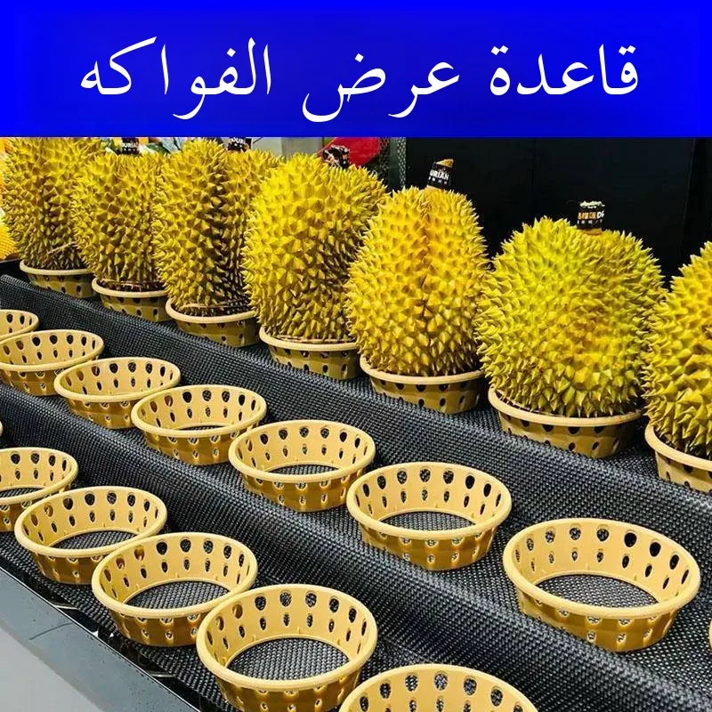 Universal Fruit Display Stand Watermelon Tray Honeydew Melon Orange Fixed Ring for Fruit Shops Cute Style Golden Luohe Brand
Universal Fruit Display Stand Watermelon Tray Honeydew Melon Orange Fixed Ring for Fruit Shops Cute Style Golden Luohe Brand