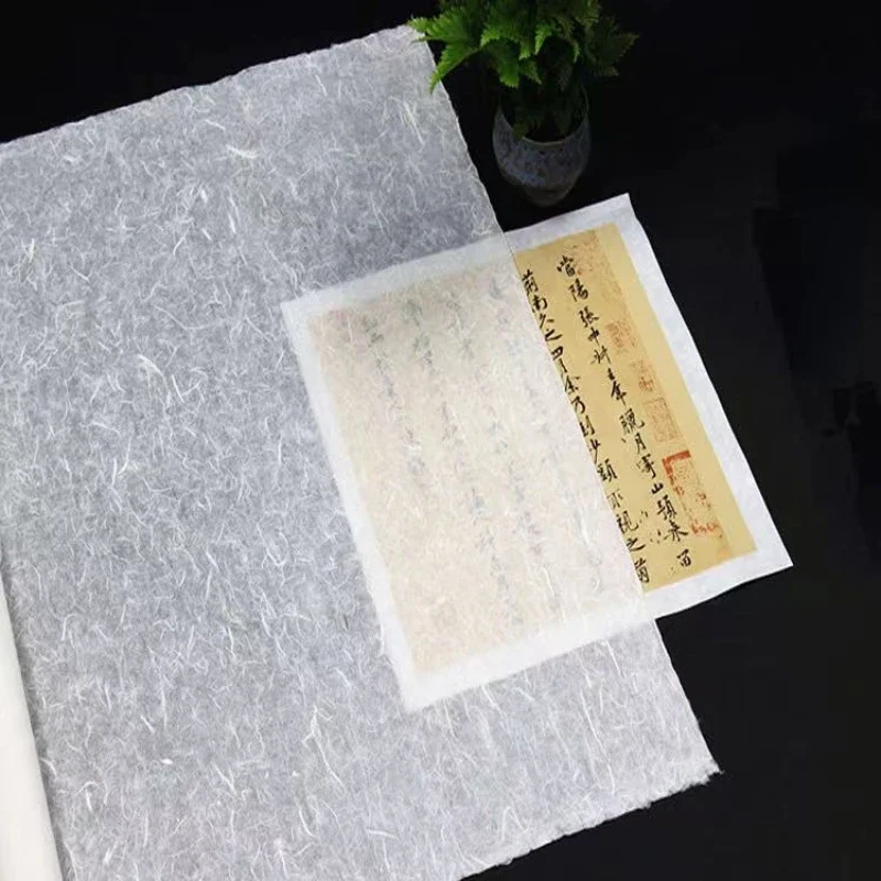 Chinese Painting Xuan Paper Yunlong Mulberry Paper Calligraphy Paper Handmade Half Ripe Fiber Xuan Zhi Papel Arroz Rice Papier
Chinese Painting Xuan Paper Yunlong Mulberry Paper Calligraphy Paper Handmade Half Ripe Fiber Xuan Zhi Papel Arroz Rice Papier