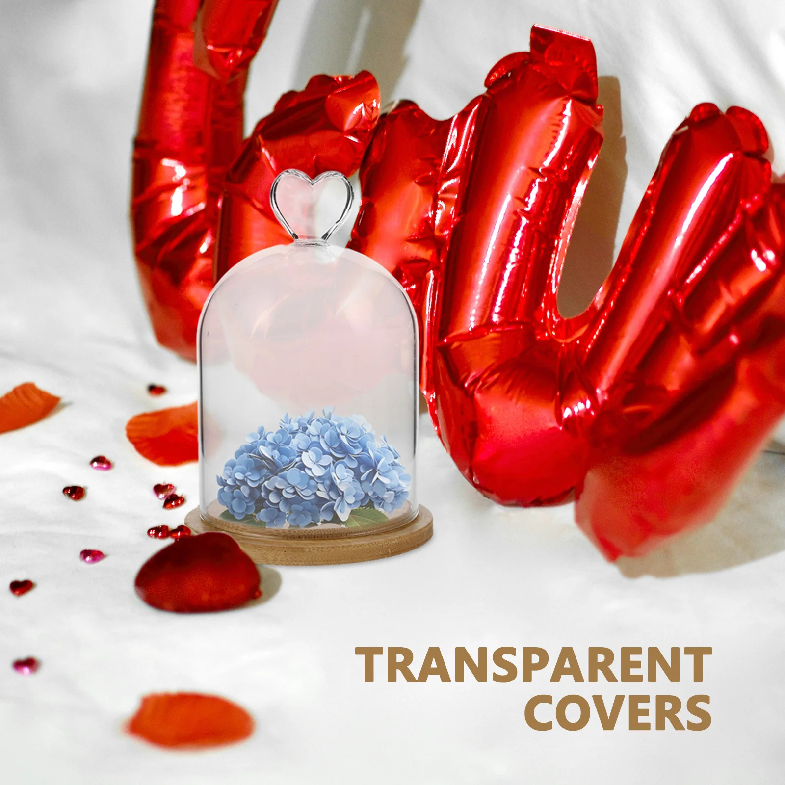 Glass Cloche Display Dome Clear Bell Jar Wood Base Decorative Home Display for Plants Medals Photos Preserved Flower
Glass Cloche Display Dome Clear Bell Jar Wood Base Decorative Home Display for Plants Medals Photos Preserved Flower