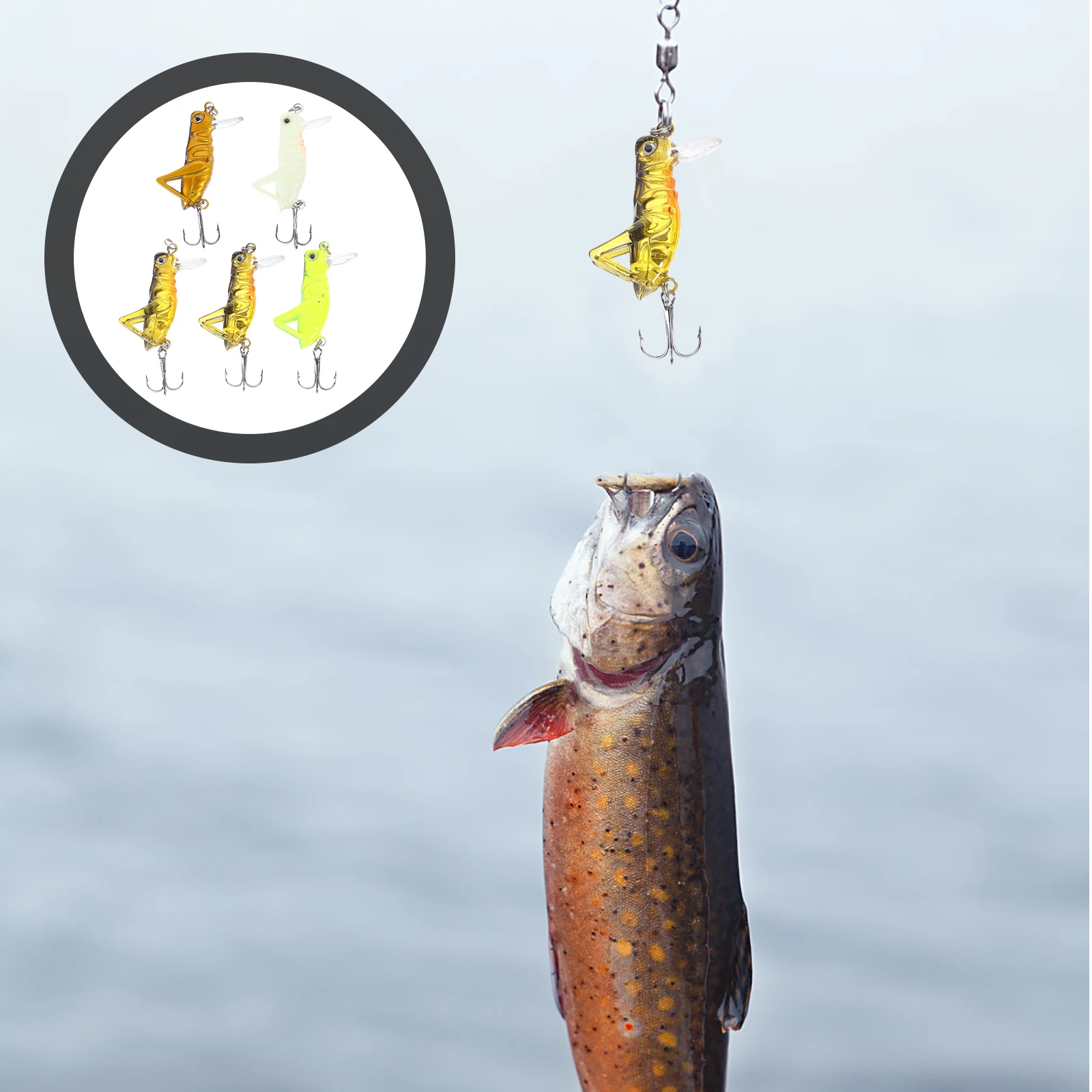 5 PCS Simulated Grasshopper Bait Fishing Lures Artificial Baits Freshwater Floating
5 PCS Simulated Grasshopper Bait Fishing Lures Artificial Baits Freshwater Floating