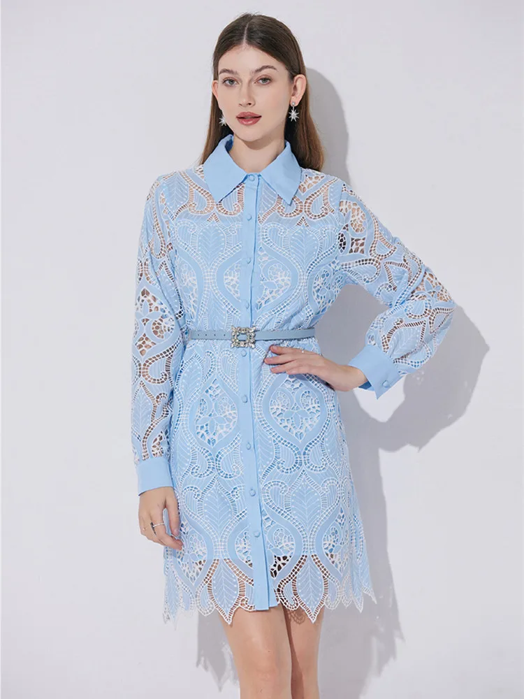 Elegant Hollow Out Splice Embroidery Lace Short Dress Women's Shirt Collar Single-breasted Long Sleeve Summer Mini Dress
Elegant Hollow Out Splice Embroidery Lace Short Dress Women's Shirt Collar Single-breasted Long Sleeve Summer Mini Dress