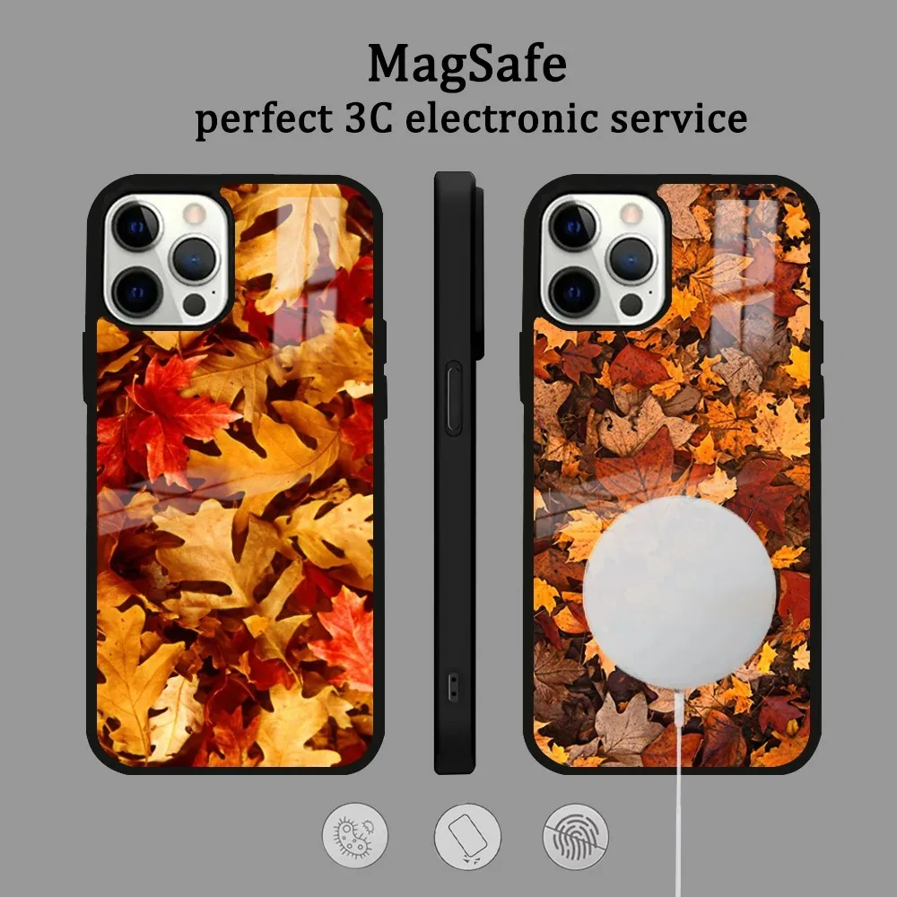 Autumn Leaves Phone Case For IPhone 16 15 14 13 12 11 Pro Max Plus Mini Magsafe Mirror Wireless Magnetic Cover
Autumn Leaves Phone Case For IPhone 16 15 14 13 12 11 Pro Max Plus Mini Magsafe Mirror Wireless Magnetic Cover