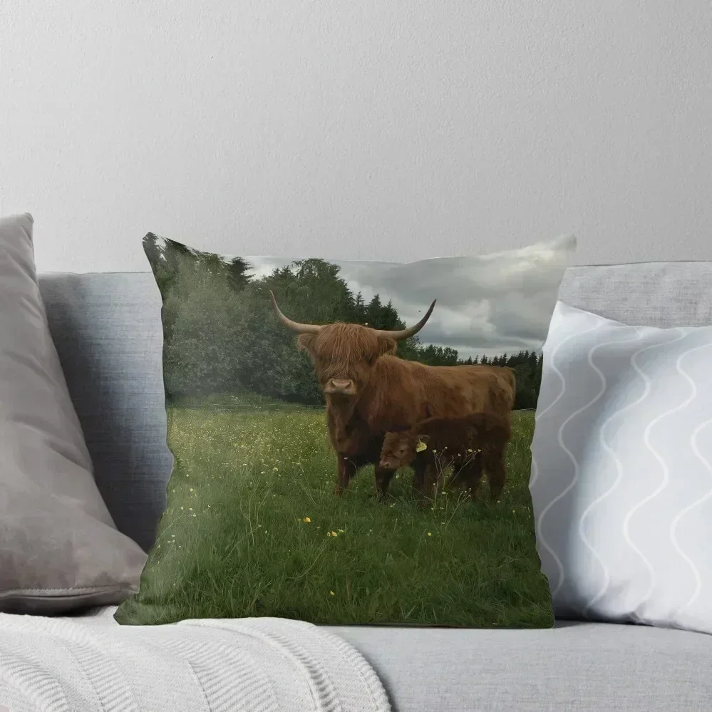 Scottish Highland Cattle Cow and Calf 1134 Throw Pillow Sitting Cushion Cushion Cover For Sofa pillow
Scottish Highland Cattle Cow and Calf 1134 Throw Pillow Sitting Cushion Cushion Cover For Sofa pillow