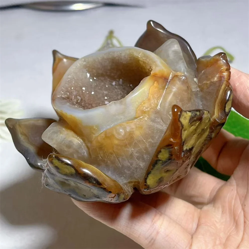 Цветок лотоса Агат Кристалл Кристалл Камень Образец кварца eng Шуй Энергия Минерал Медитация Исцеляющий драгоценный камень Украшение домаСиний
Цветок лотоса Агат Кристалл Кристалл Камень Образец кварца eng Шуй Энергия Минерал Медитация Исцеляющий драгоценный камень Украшение домаСиний