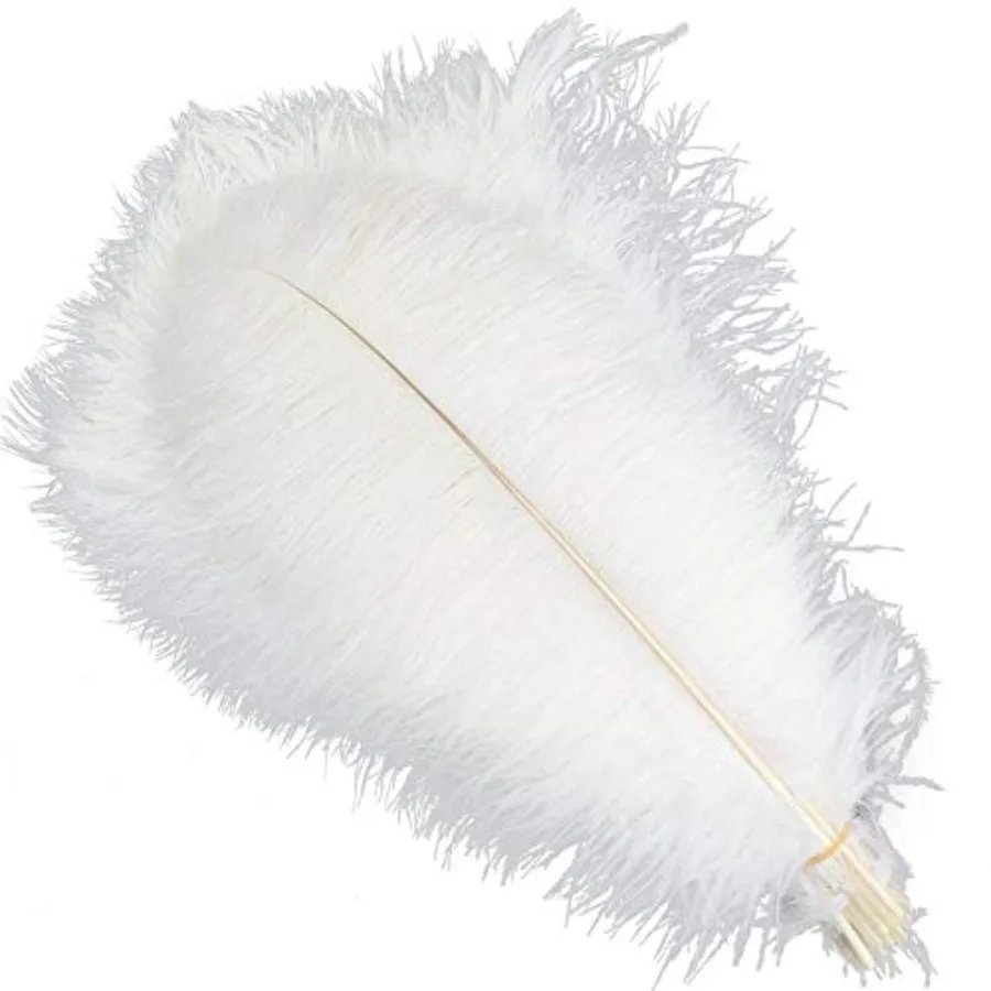 5pcs Ostrich Feathers 16-18inch 40-45cm Home Wedding Decoration(White)
5pcs Ostrich Feathers 16-18inch 40-45cm Home Wedding Decoration(White)