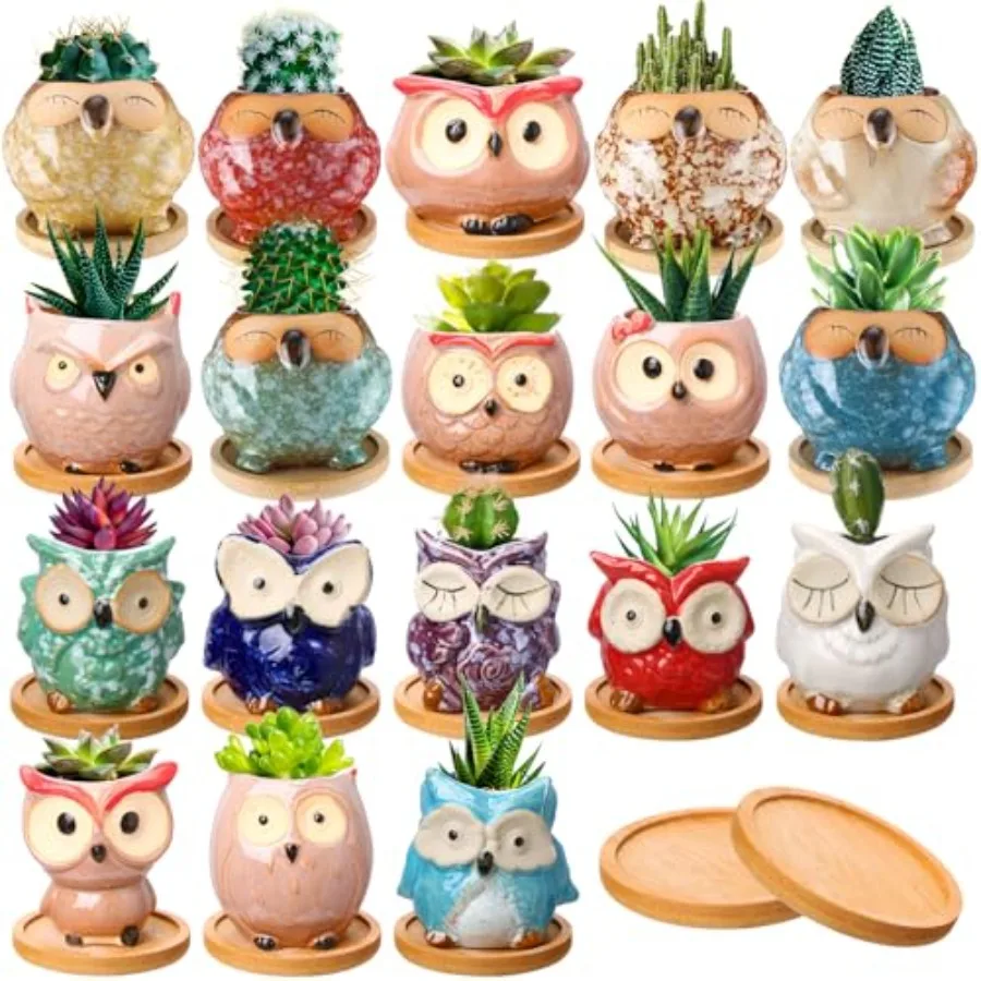 18 Pcs 2.5 Inch Ceramic Succulent Planter Pots Mini Small Ceramic Pots with Drainage Hole and Bamboo Tray for Succulents Glaze
18 Pcs 2.5 Inch Ceramic Succulent Planter Pots Mini Small Ceramic Pots with Drainage Hole and Bamboo Tray for Succulents Glaze