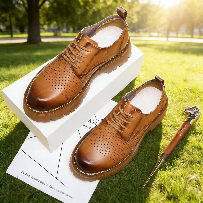 Thick Sole Leather Shoes for Men British Style Brogue Shoes Fashion Round Toe Lace-up Men Casual Hollow Leather Oxford Shoes
Thick Sole Leather Shoes for Men British Style Brogue Shoes Fashion Round Toe Lace-up Men Casual Hollow Leather Oxford Shoes