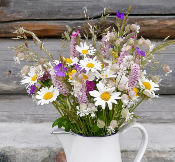 2-Way Audio Isolator Professional Audio Current Noise Eliminator XLR-2CH Lotus Isolator Mixer for Mixer Live Broadcast Meeting
2-Way Audio Isolator Professional Audio Current Noise Eliminator XLR-2CH Lotus Isolator Mixer for Mixer Live Broadcast Meeting