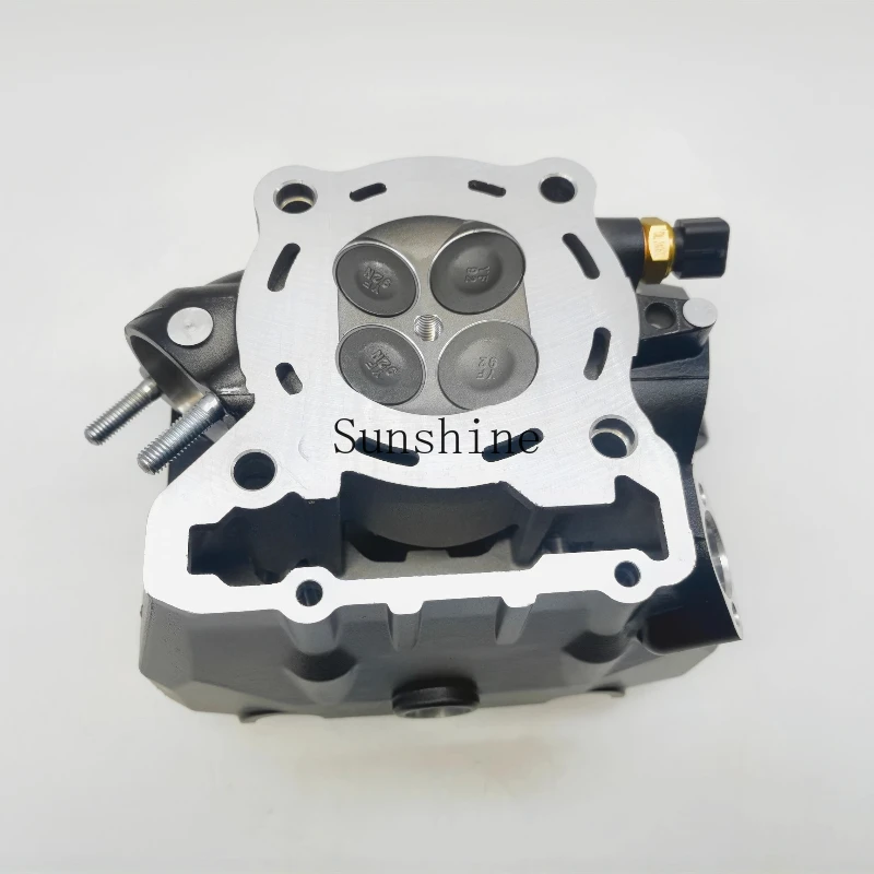 Long LX300 No 300R300RR 300DS 300AC Cylinder Head Assembly Intake and Exhaust Cam Valves
Long LX300 No 300R300RR 300DS 300AC Cylinder Head Assembly Intake and Exhaust Cam Valves