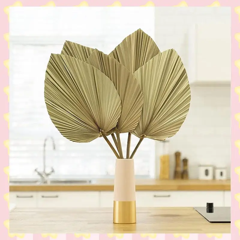 AB51 Dried Palm Leaves Room Decor 25 Pieces - 18Inch H X 10Inch W Large Natural Palm Leaf Decor For A Beautiful Boho Look
AB51 Dried Palm Leaves Room Decor 25 Pieces - 18Inch H X 10Inch W Large Natural Palm Leaf Decor For A Beautiful Boho Look