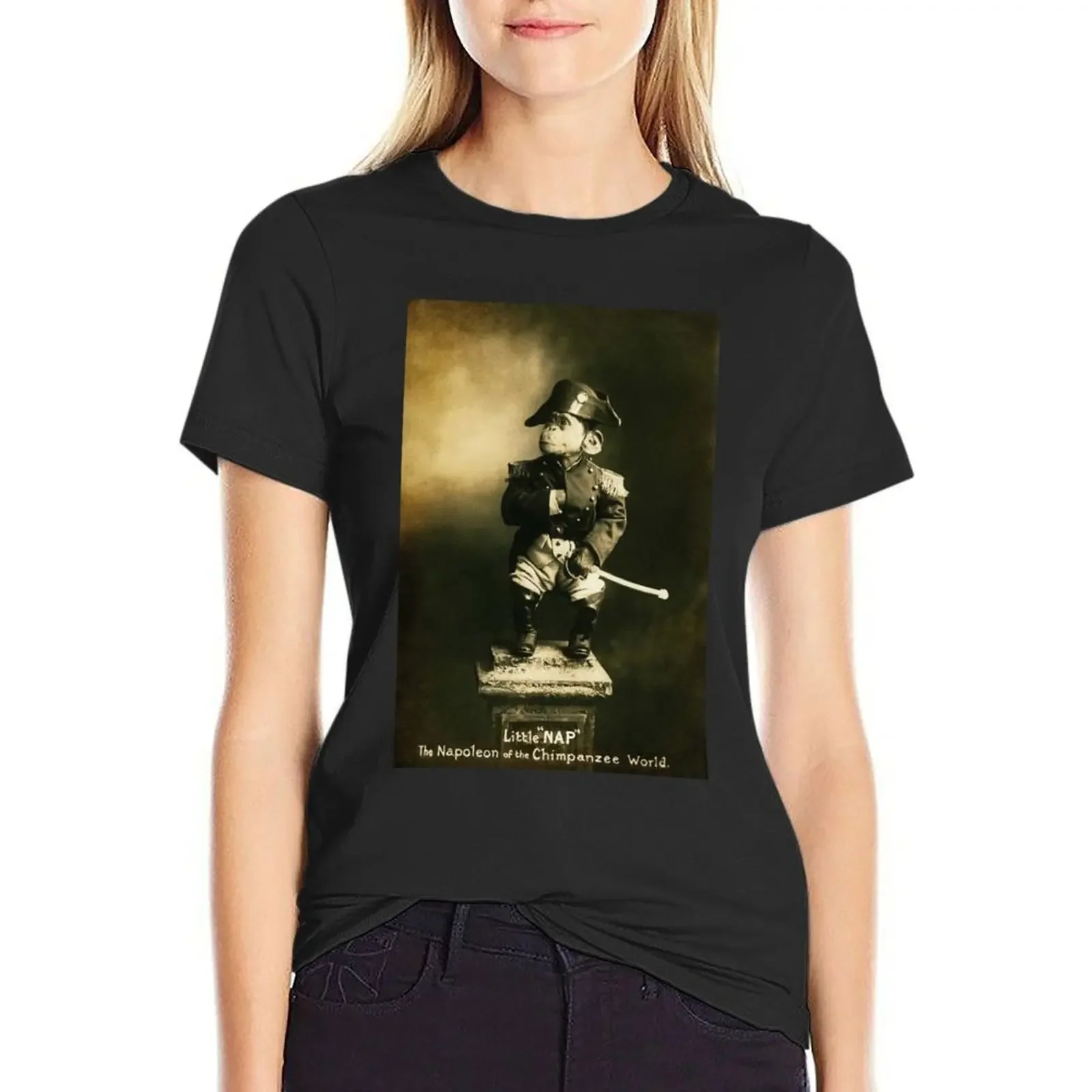 Little Nap The Napoleon of the Chimpanzee World! T-Shirt lady clothes animal print sweat Woman clothing
Little Nap The Napoleon of the Chimpanzee World! T-Shirt lady clothes animal print sweat Woman clothing