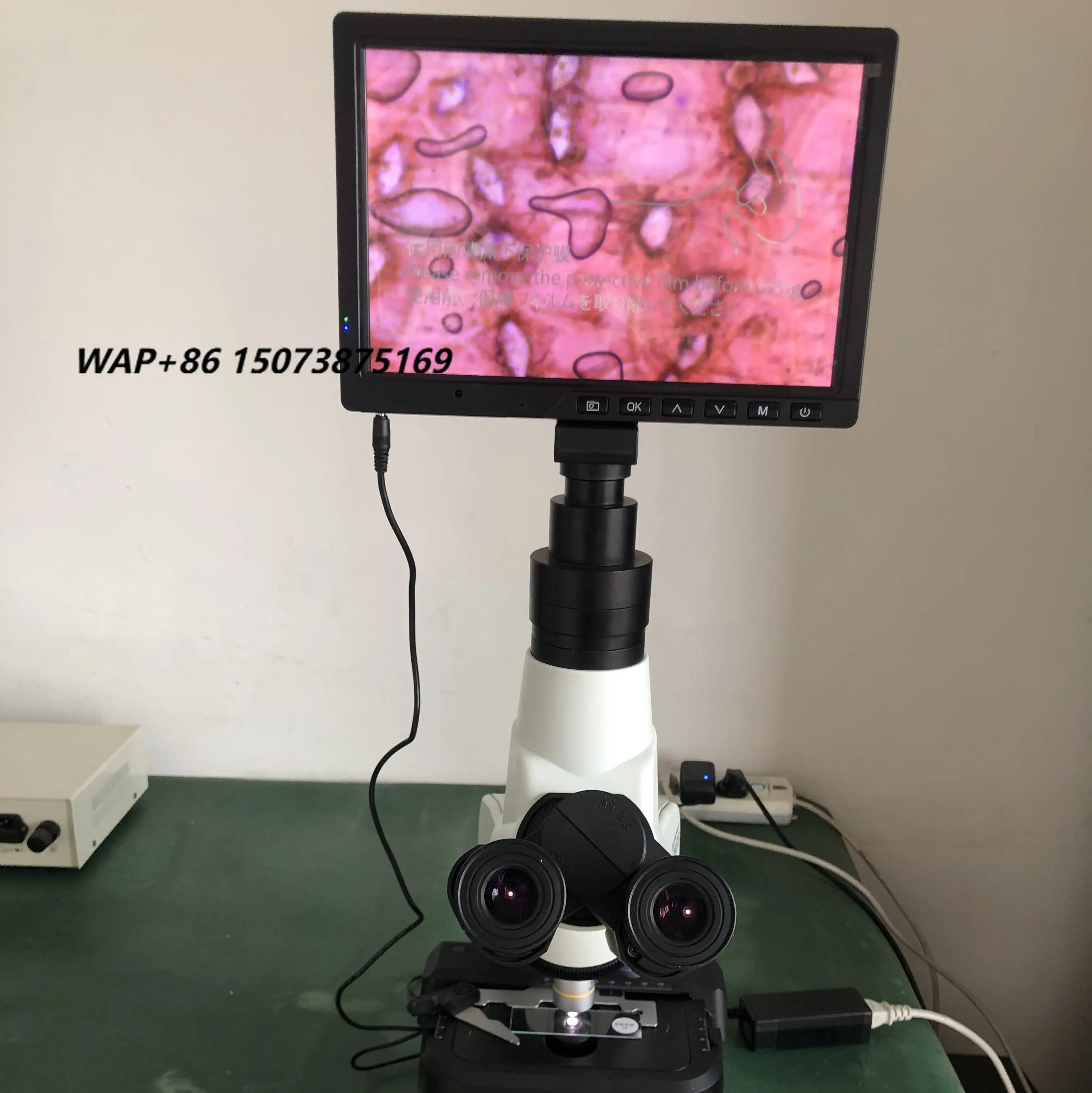 Three-objective Biological Microscope with Video Function
Three-objective Biological Microscope with Video Function