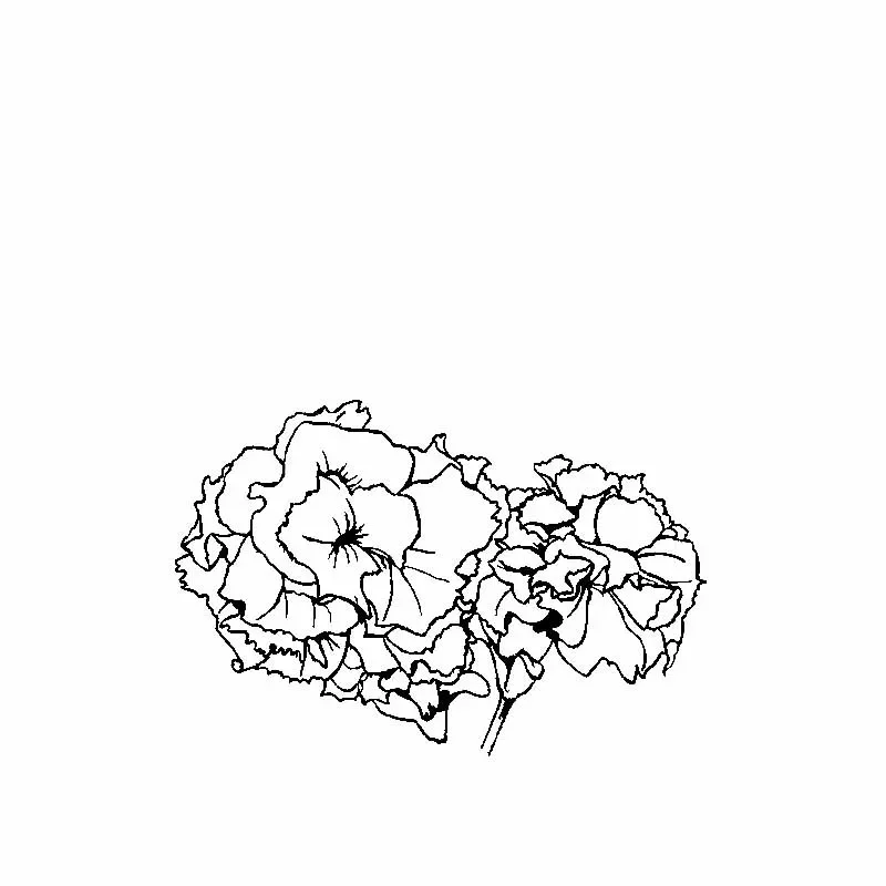 Carnation Flower Design Exquisite Applique Car Decoration Personality Pvc Waterproof Applique Black/white, 18cm*12cm
Carnation Flower Design Exquisite Applique Car Decoration Personality Pvc Waterproof Applique Black/white, 18cm*12cm