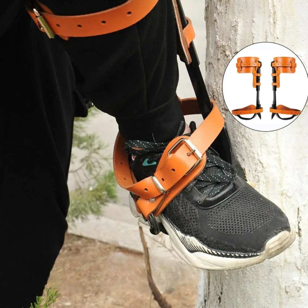 45# Steel Upright Tree Climbing Tool Adjustable Height Tree Climbing and Picking Foot Binding Structurally Stable Garden Tools
45# Steel Upright Tree Climbing Tool Adjustable Height Tree Climbing and Picking Foot Binding Structurally Stable Garden Tools