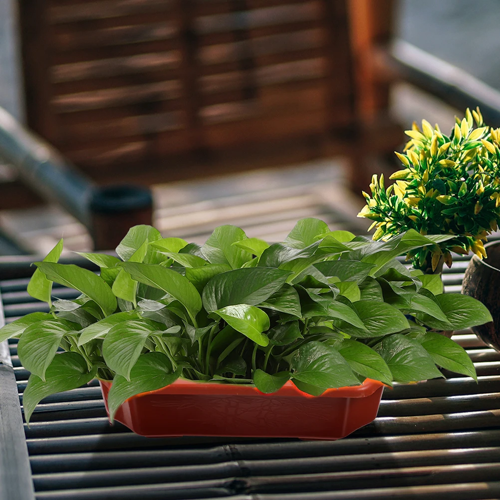 13pcs Plastic Flower Pot Balcony Planter Coffee Color Rectangular Design Gardening Decorative Pots Plant Holder
13pcs Plastic Flower Pot Balcony Planter Coffee Color Rectangular Design Gardening Decorative Pots Plant Holder