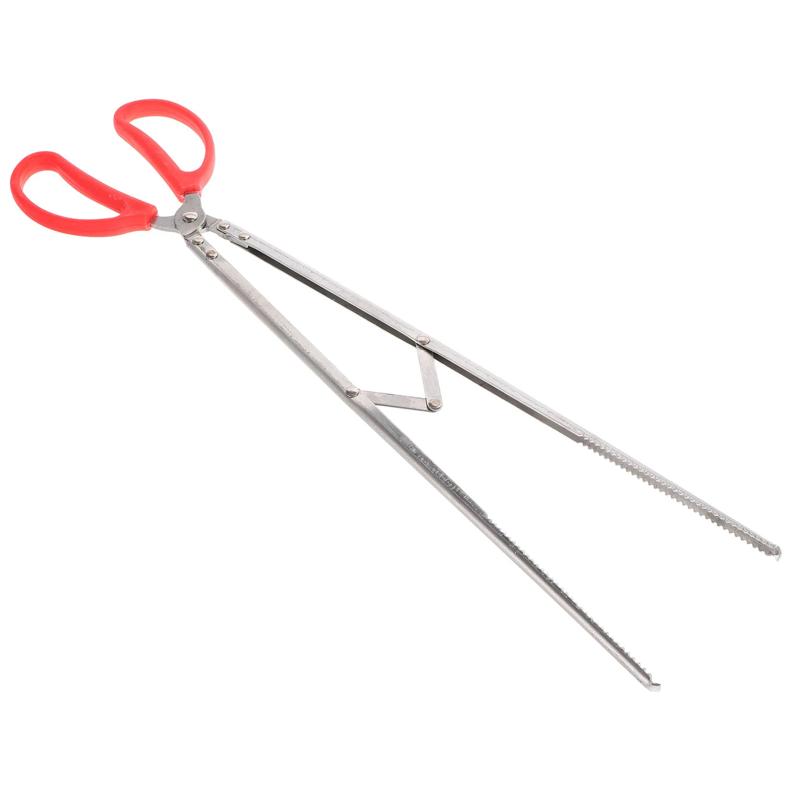 Trash Tongs Stainless Steel Fireplace Tools Camping Barbecue Fire Pit Log Grabber Handle Toothed Clamp Widely Applicable
Trash Tongs Stainless Steel Fireplace Tools Camping Barbecue Fire Pit Log Grabber Handle Toothed Clamp Widely Applicable