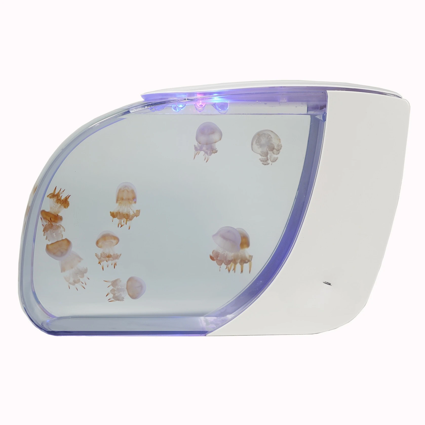 15 liters, jellyfish tank, electronic, desktop, ecological fish tank Internet celebrity stall
15 liters, jellyfish tank, electronic, desktop, ecological fish tank Internet celebrity stall