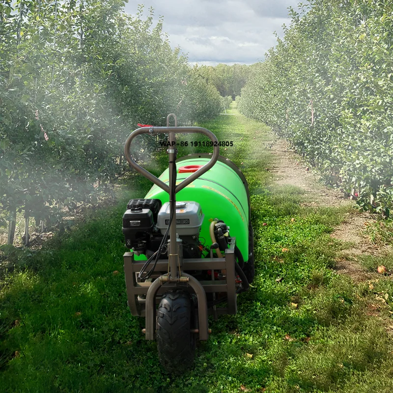 Hand Push Engine Garden Agricultural Sprayer High Productivity Trolley-Type 4-Stroke Push Cart Pesticide With Wheels
Hand Push Engine Garden Agricultural Sprayer High Productivity Trolley-Type 4-Stroke Push Cart Pesticide With Wheels