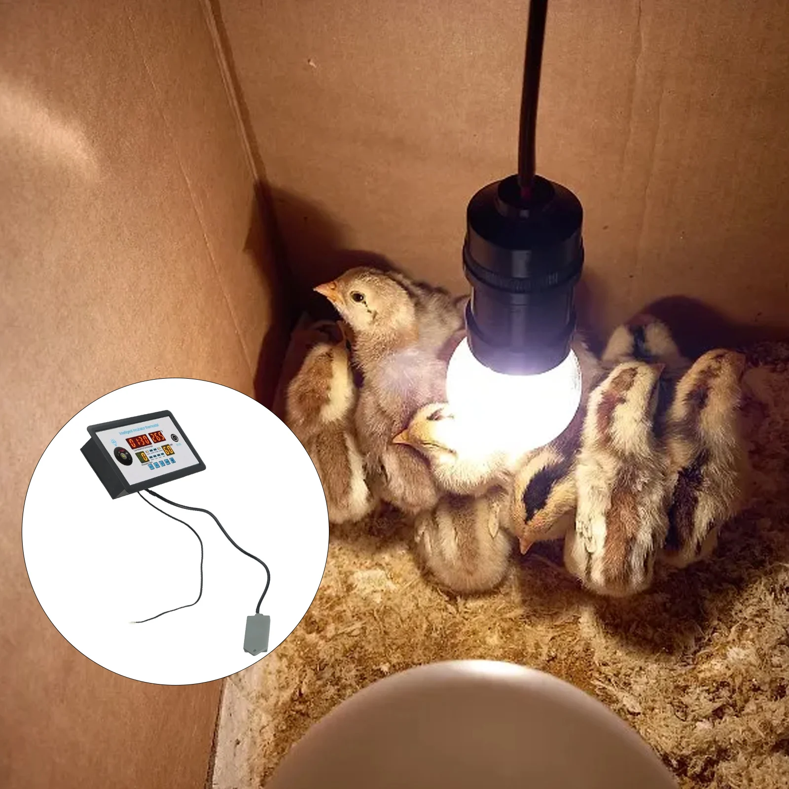 Innovative Technology in an Easy to Use Format The Complete Solution to Your Hatching Needs The Egg Control System
Innovative Technology in an Easy to Use Format The Complete Solution to Your Hatching Needs The Egg Control System