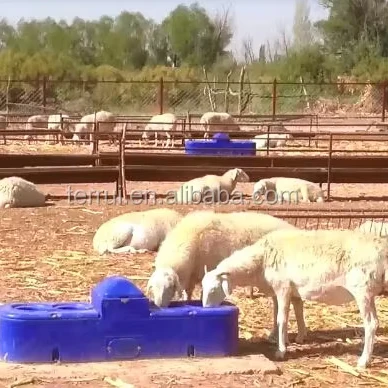 Custom Cattle Water Anti Freeze Bowl Livestock Feeder Sheep Goat Farming Equipment
Custom Cattle Water Anti Freeze Bowl Livestock Feeder Sheep Goat Farming Equipment