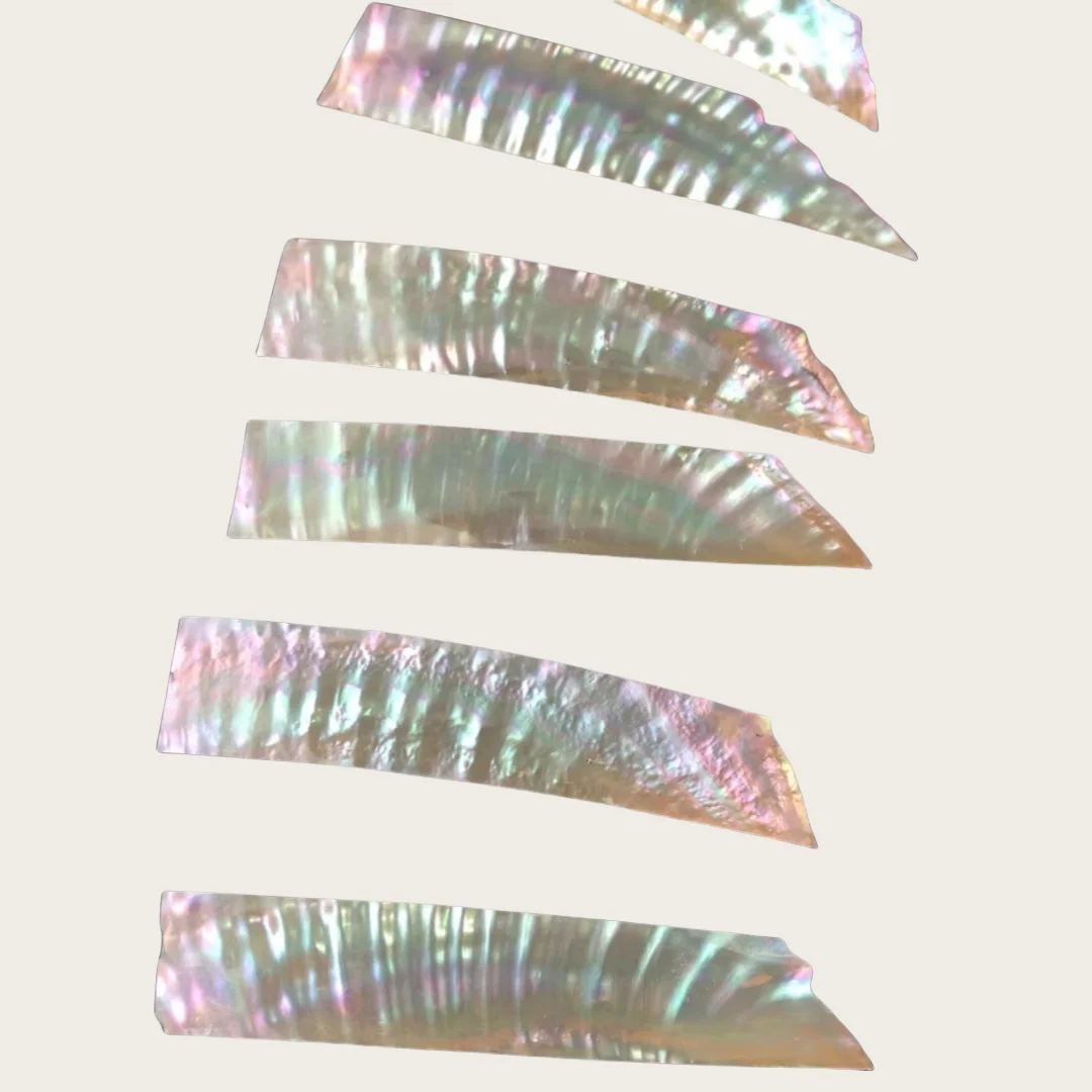 9cmNatural Blue Shell Raw Slices - Mother of Pearl Inlay Material for Lacquer Art, Musical Instrument Decoration, Vintage-Style
9cmNatural Blue Shell Raw Slices - Mother of Pearl Inlay Material for Lacquer Art, Musical Instrument Decoration, Vintage-Style