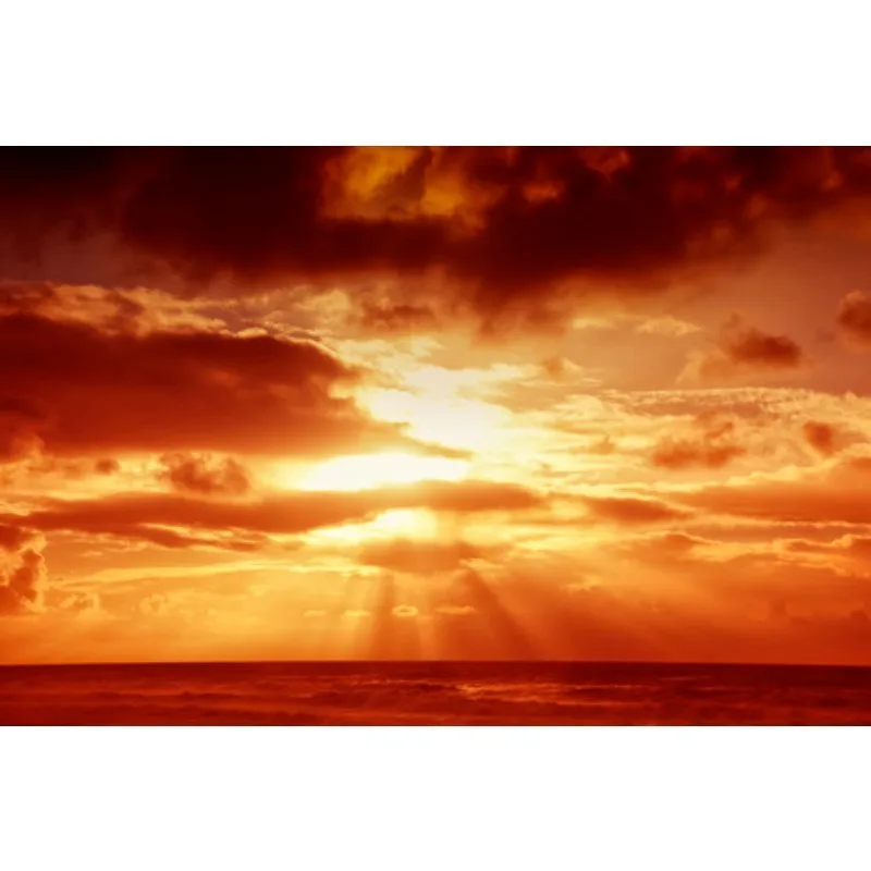 Светоотражатель заднего бампера автомобиля Tiy, красный корпус, задний стоп-сигнал, указатель поворота, противотуманная фара, автомобильные аксессуары для Toyota RAV4 2021 2022
Светоотражатель заднего бампера автомобиля Tiy, красный корпус, задний стоп-сигнал, указатель поворота, противотуманная фара, автомобильные аксессуары для Toyota RAV4 2021 2022