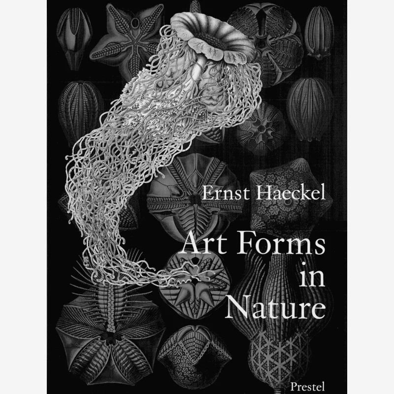 Art Forms In Nature Prints Of Ernst Haekel Olaf BreidbachIrenaus EiblEibersfeldtRichard Hartmann 9783791319902
Art Forms In Nature Prints Of Ernst Haekel Olaf BreidbachIrenaus EiblEibersfeldtRichard Hartmann 9783791319902