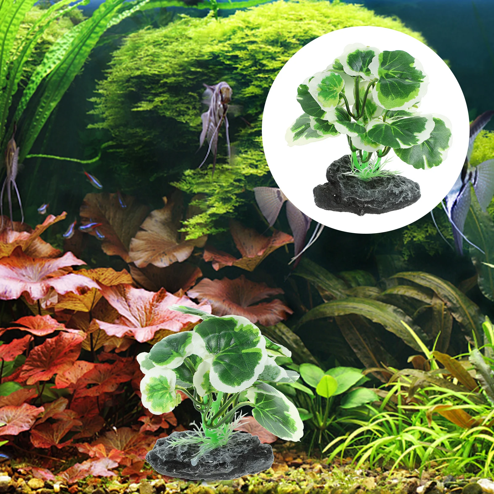 Aquarium Decoration Fish Tank Water Plants Artificial Ornaments Decorate Decorations Hideout
Aquarium Decoration Fish Tank Water Plants Artificial Ornaments Decorate Decorations Hideout