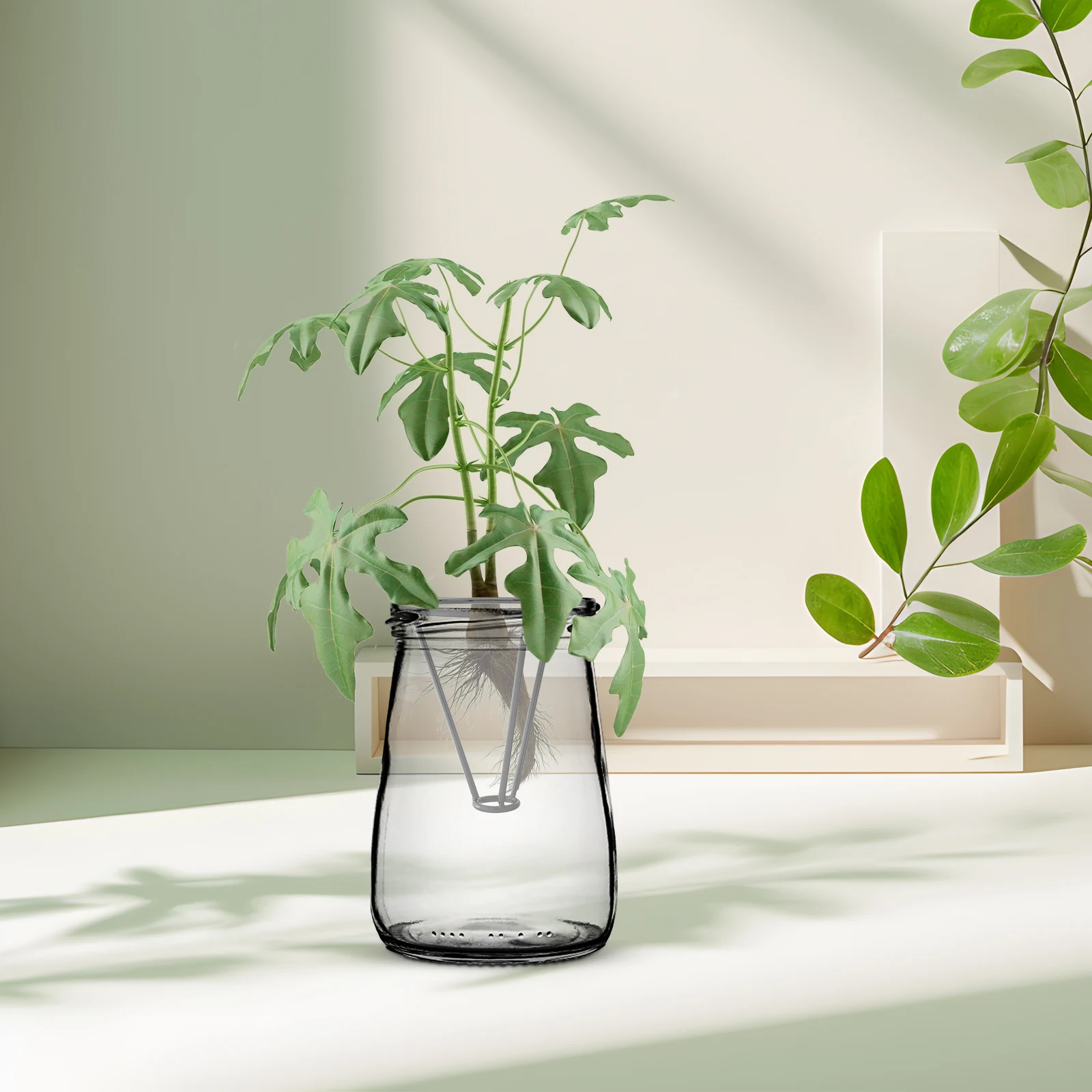 Seed Fixer Pyramid Metal Bracket for Vase Bottle Plant Weights Aquarium Anchors Propagation Station Water Fixed Ring Avocado
Seed Fixer Pyramid Metal Bracket for Vase Bottle Plant Weights Aquarium Anchors Propagation Station Water Fixed Ring Avocado