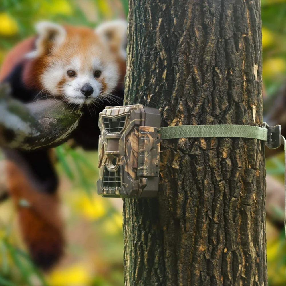 2 Rolls Camera Bundling Belt Hunting Strap Securing Mounting Green Zinc Alloy Outdoor Accessory
2 Rolls Camera Bundling Belt Hunting Strap Securing Mounting Green Zinc Alloy Outdoor Accessory