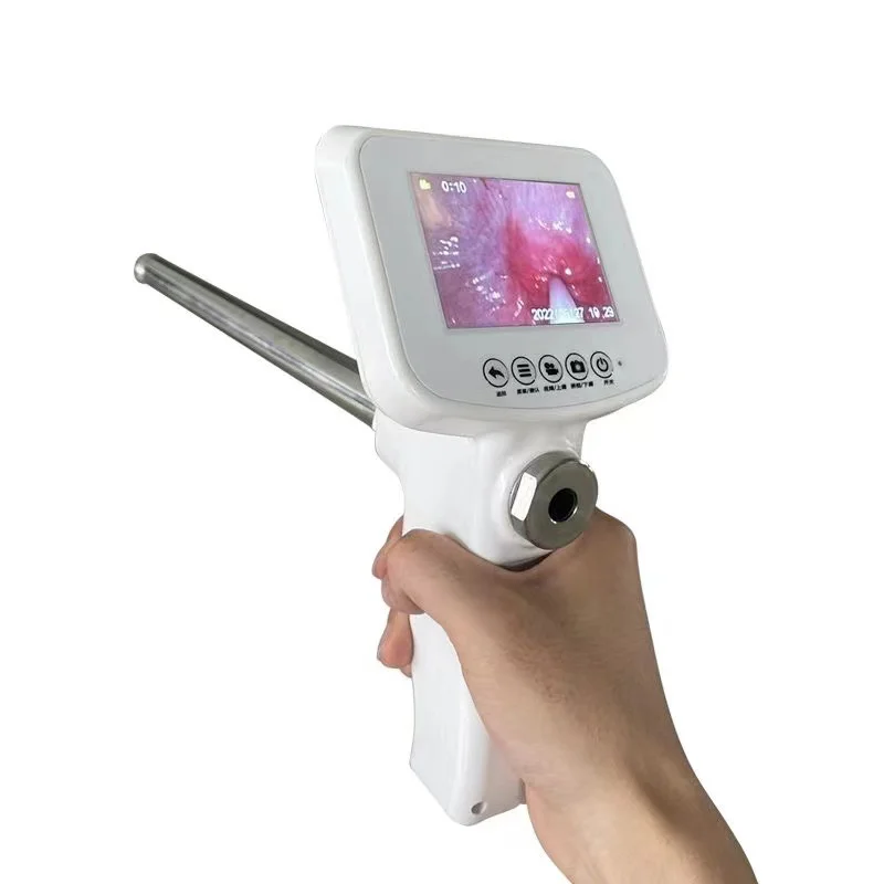 3.5-inch Screen Provides Access To The Learning Digital Sperm Device Bovine Manual Visual Handheld Sperm
3.5-inch Screen Provides Access To The Learning Digital Sperm Device Bovine Manual Visual Handheld Sperm