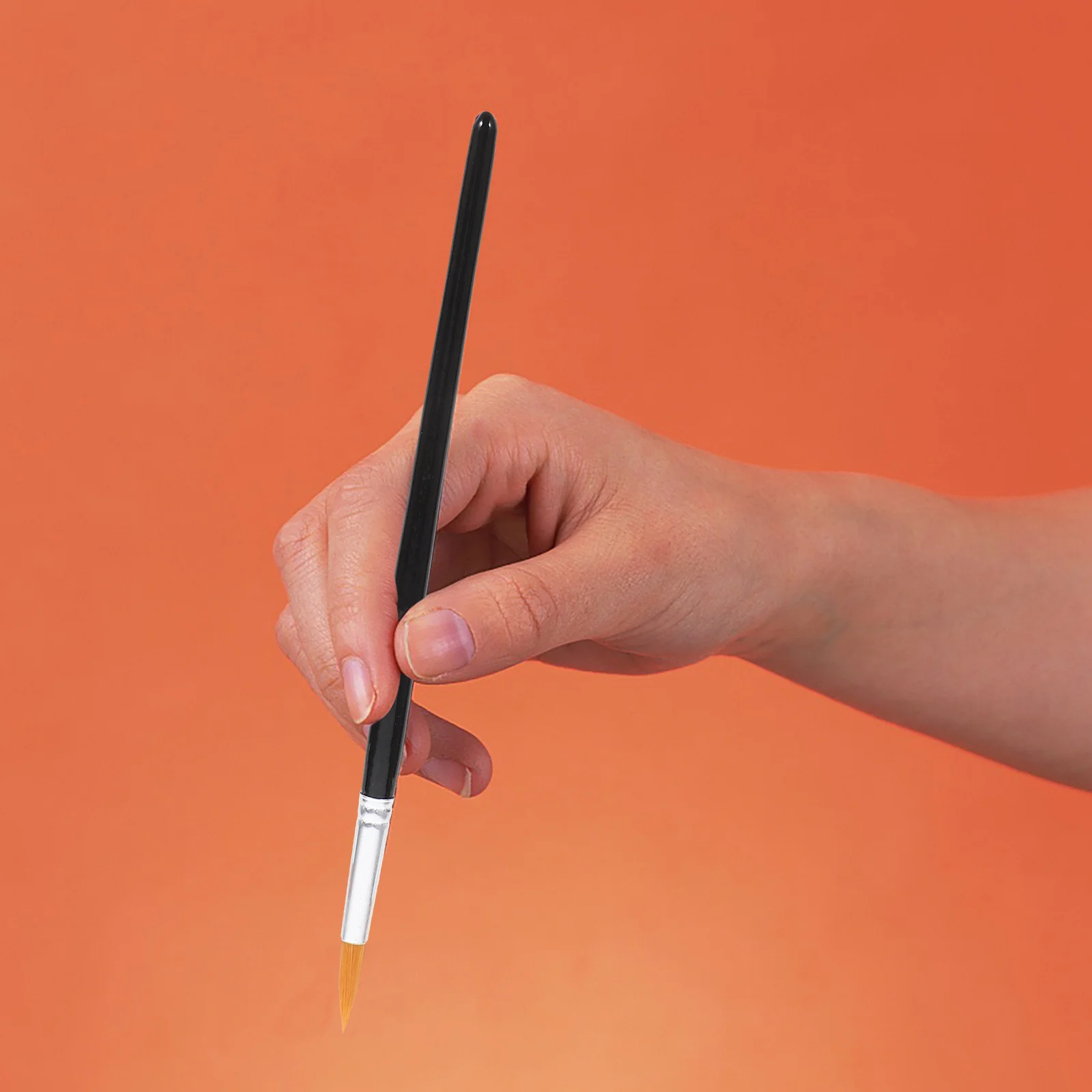 6Pcs Multifunction Fine Detail Paint Brushes Artist Nylon Hair Set for Watercolor Acrylic Oil Painting Line Drawing Accessories
6Pcs Multifunction Fine Detail Paint Brushes Artist Nylon Hair Set for Watercolor Acrylic Oil Painting Line Drawing Accessories