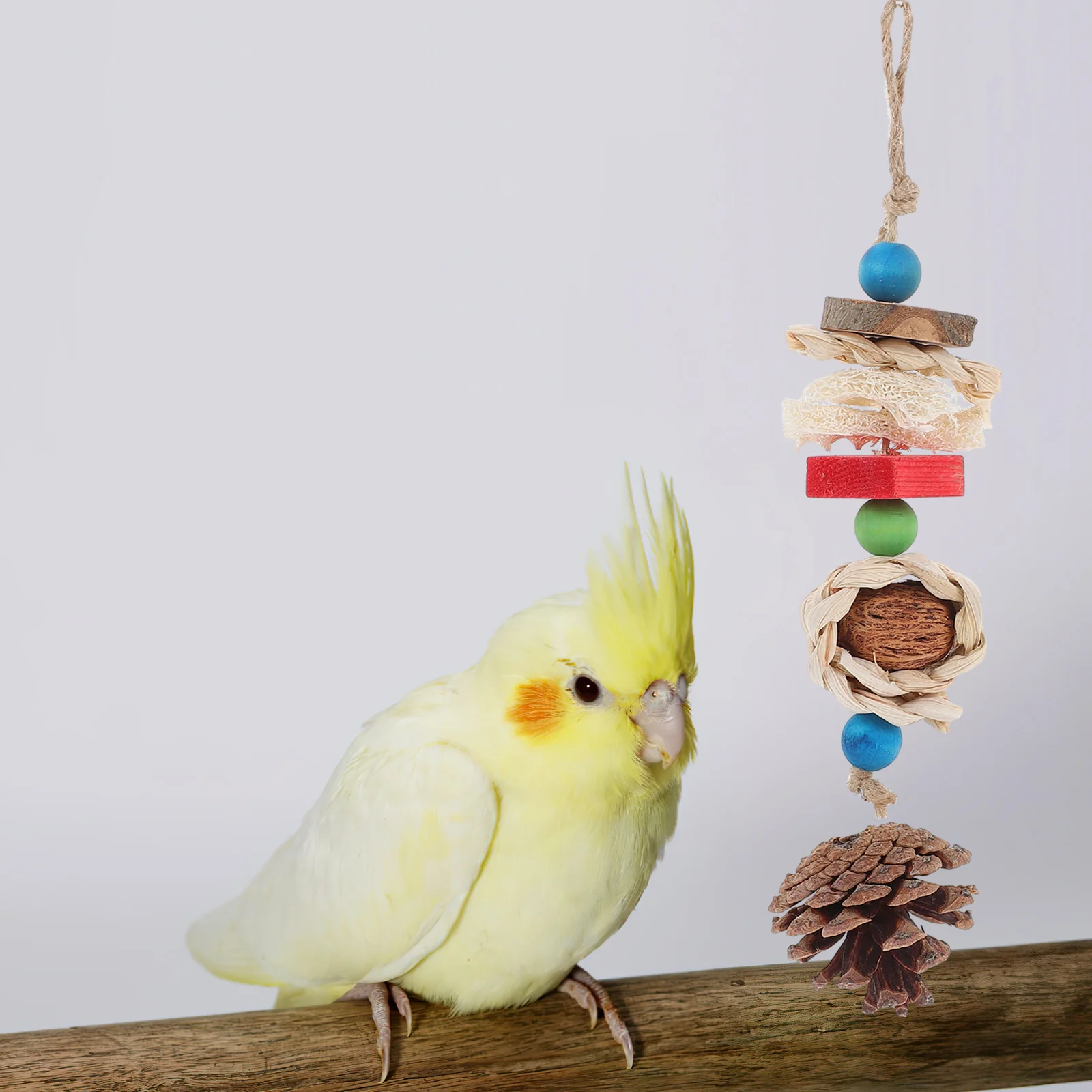 Bird Chew Toy Parrot Cage Hanging Parakeet Pet Sturdy Chewing Wooden Toys Tearing
Bird Chew Toy Parrot Cage Hanging Parakeet Pet Sturdy Chewing Wooden Toys Tearing