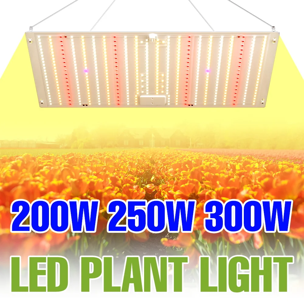 300W LED Full Spectrum Grow Light Sunlight Indoor Plant Lamp UV Quantum Board Greenhouse Tent Vegetable Potted Flower Growth Box
300W LED Full Spectrum Grow Light Sunlight Indoor Plant Lamp UV Quantum Board Greenhouse Tent Vegetable Potted Flower Growth Box