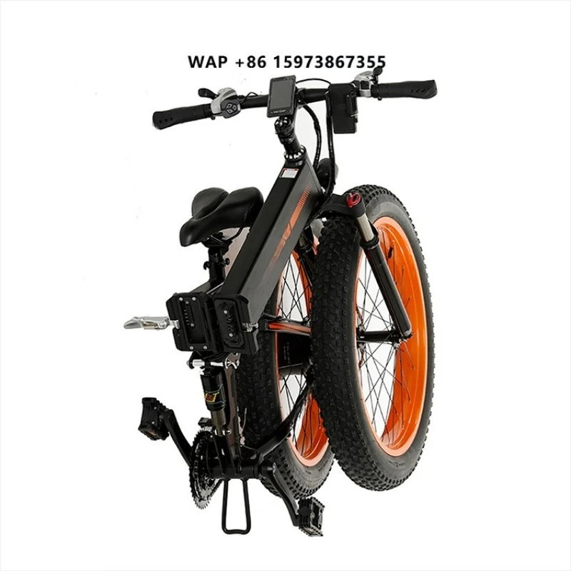 High Quality Small Folding Electric Bike 1000w
High Quality Small Folding Electric Bike 1000w