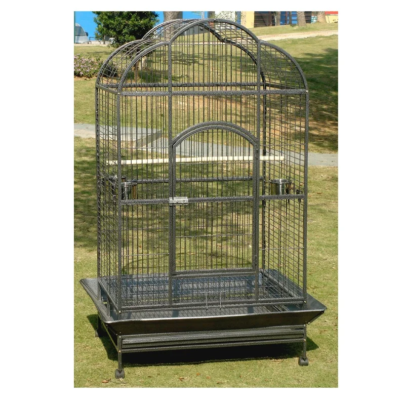 Mini Fancy Bird Cages 2.5*1.5*1.5 Fronts Glass Wire Bird Cage Flight Extra Large Bird Cage
Mini Fancy Bird Cages 2.5*1.5*1.5 Fronts Glass Wire Bird Cage Flight Extra Large Bird Cage