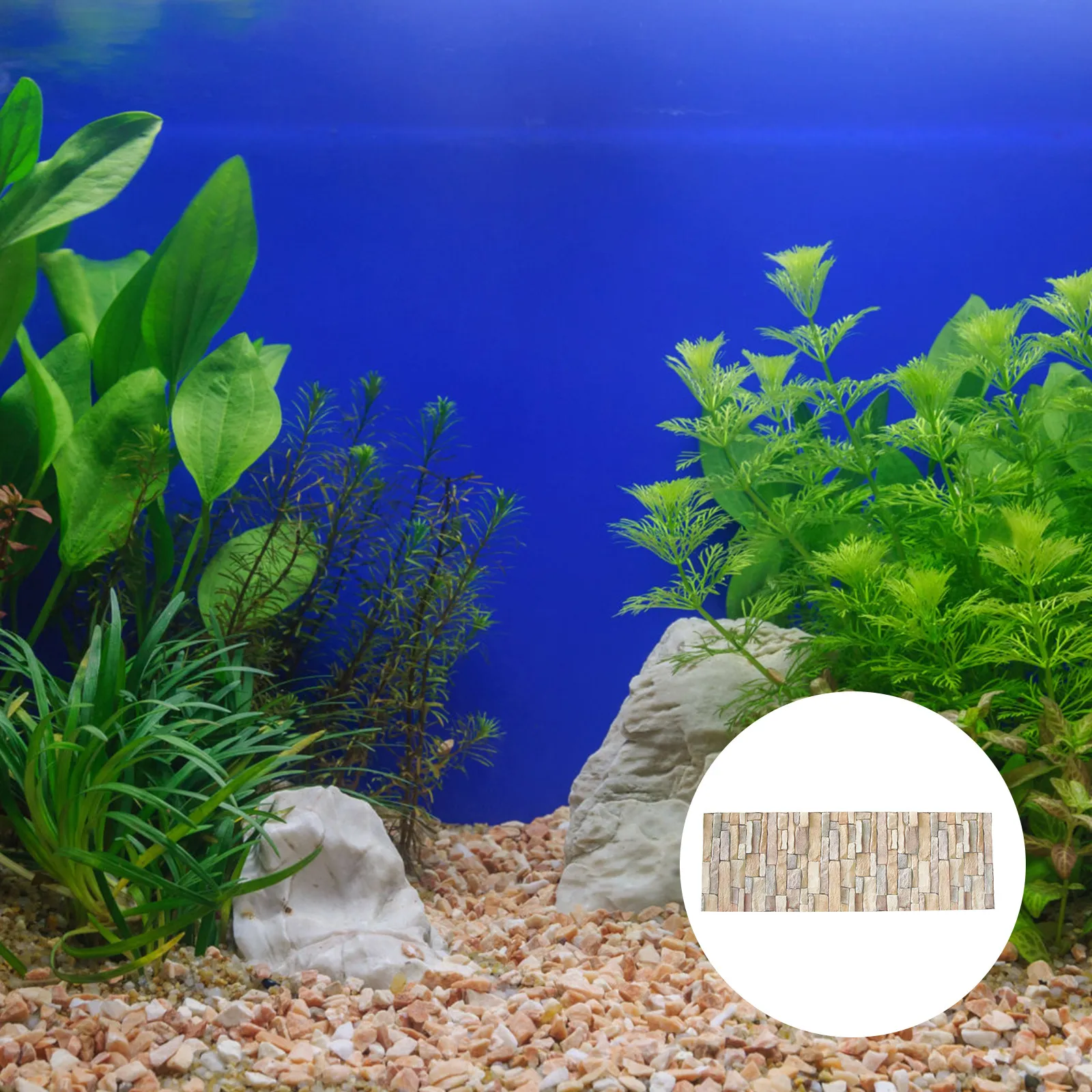 1 Sheet Exquisite Workmanship Brick Wallpaper for Reptile Tank Terrarium DIY Scene Decoration Self-Adhesive Background Sticker
1 Sheet Exquisite Workmanship Brick Wallpaper for Reptile Tank Terrarium DIY Scene Decoration Self-Adhesive Background Sticker