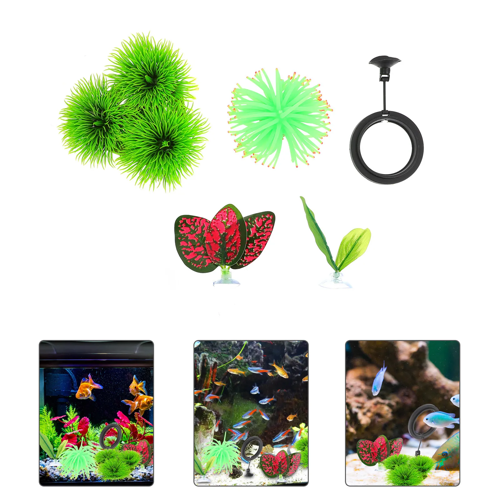 Набор декораций для гнезда для размножения рыбок Бетта: круглое кольцо для кормления, имитация коралла, искусственное водное растение, большие светлые листья
Набор декораций для гнезда для размножения рыбок Бетта: круглое кольцо для кормления, имитация коралла, искусственное водное растение, большие светлые листья