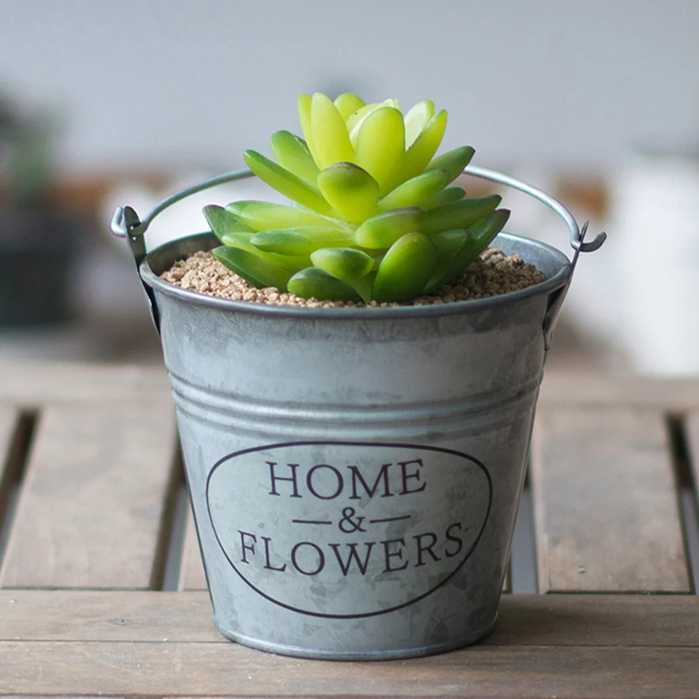 3 Pcs Retro Tin Bucket Flowerpots Mini Vases Floral Home Decor Farmhouse Decoration Metal Garden Container Iron Flowers
3 Pcs Retro Tin Bucket Flowerpots Mini Vases Floral Home Decor Farmhouse Decoration Metal Garden Container Iron Flowers