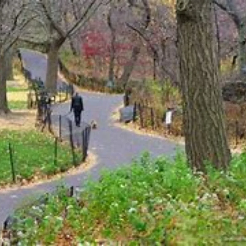 Metal Differential 12401-1636 for Wltoys 104009 12402-A 12401 12402 12403 12404 12409 RC Car Upgrade Parts Accessories
Metal Differential 12401-1636 for Wltoys 104009 12402-A 12401 12402 12403 12404 12409 RC Car Upgrade Parts Accessories