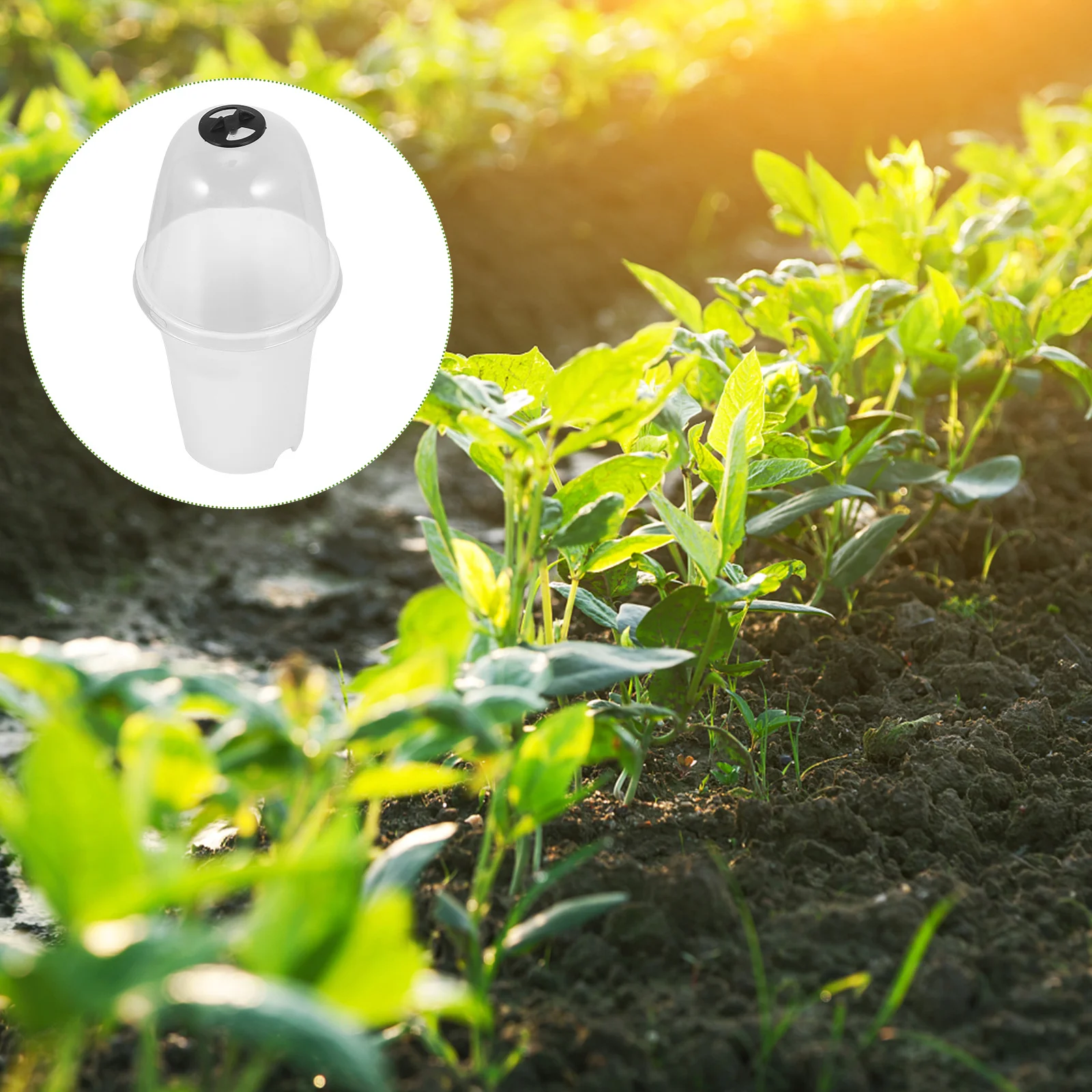 2 шт., пластиковые горшки для посадки, прочные сочные цветочные контейнеры, садовая кашпо, дренажное вентиляционное отверстие
2 шт., пластиковые горшки для посадки, прочные сочные цветочные контейнеры, садовая кашпо, дренажное вентиляционное отверстие