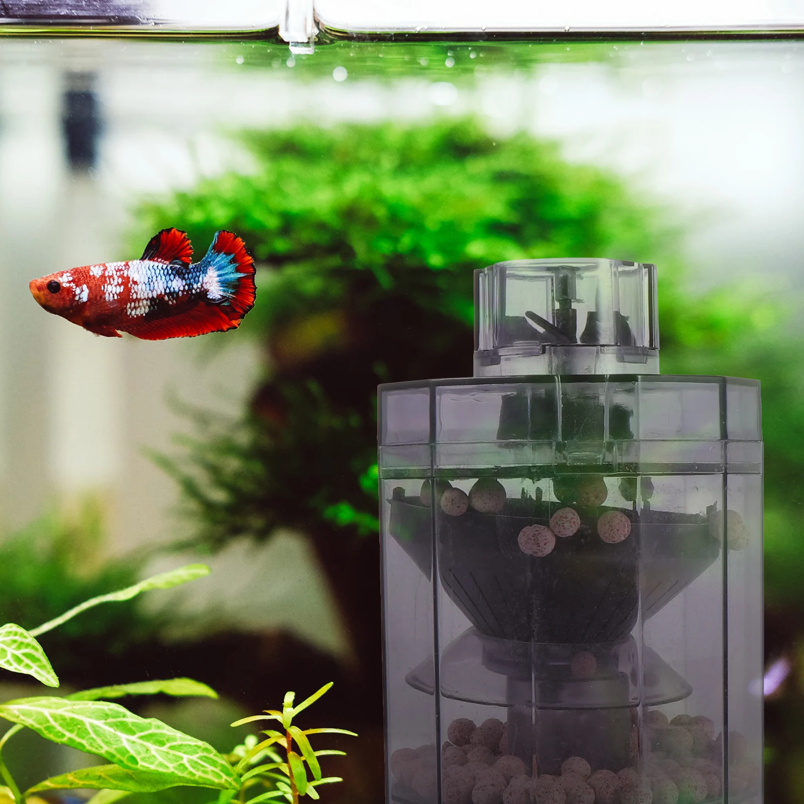 1 set Aerobic Filter Submersible Oxygen Pump Aquarium Pneumatic Filter Fish Tank Pump Multi-Functional for Small
1 set Aerobic Filter Submersible Oxygen Pump Aquarium Pneumatic Filter Fish Tank Pump Multi-Functional for Small