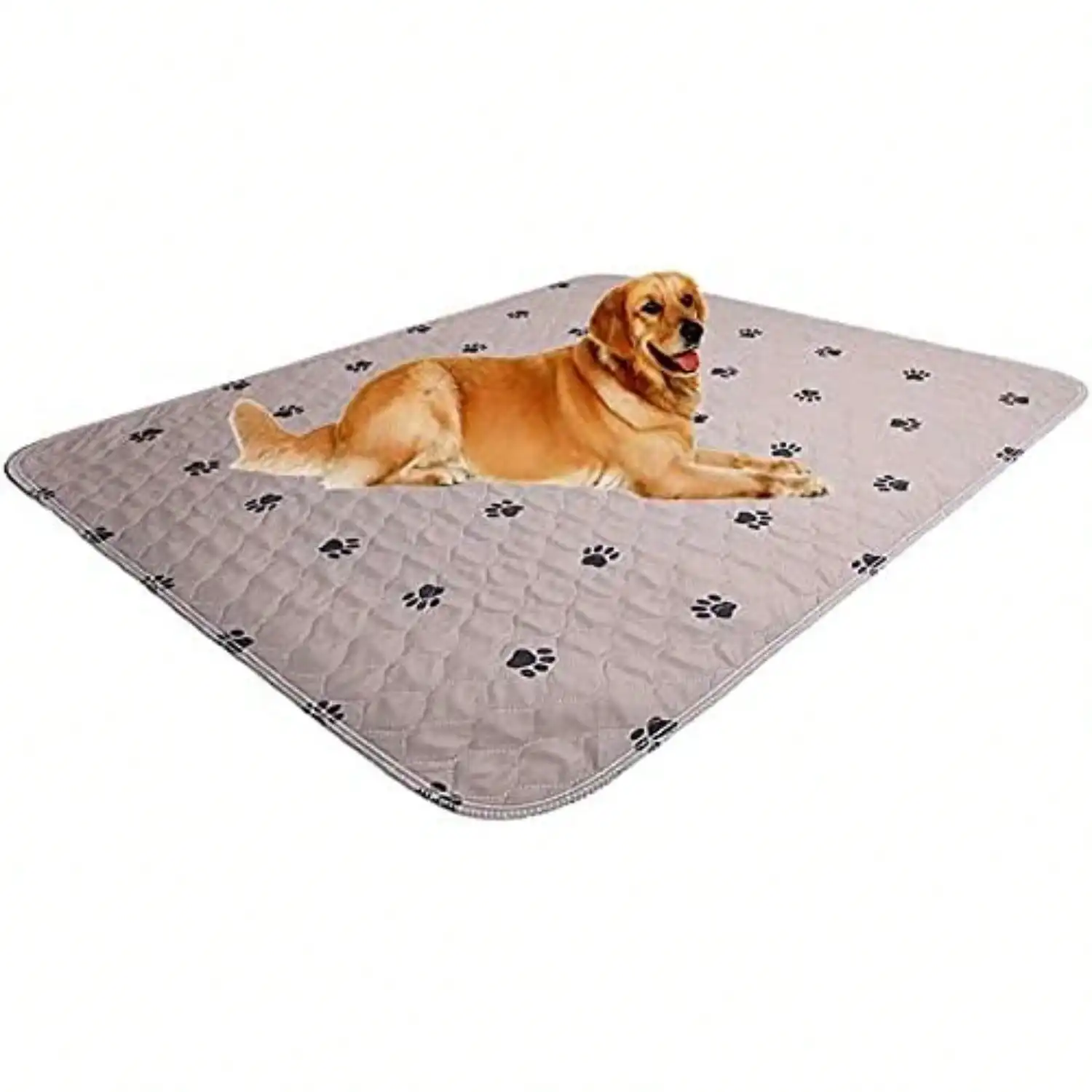 Dog Pee Pads, Super Absorbing Waterproof Pet Training Pads for Dog Bed Mat with Puppy Grooming Gloves Washable Reusable
Dog Pee Pads, Super Absorbing Waterproof Pet Training Pads for Dog Bed Mat with Puppy Grooming Gloves Washable Reusable