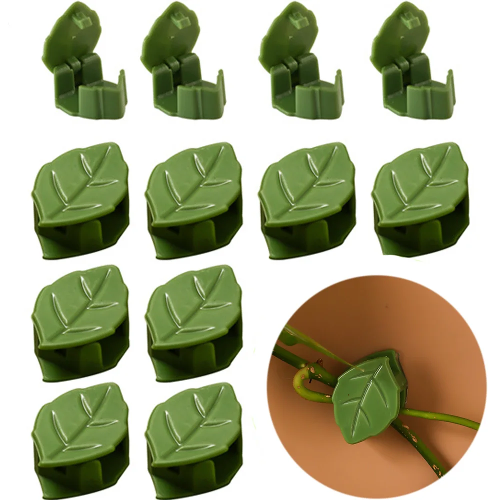 10-50pcs Plant Stand Invisible Plant Wall Climbing Device Vine Bracket Fixed Buckle Leaf Clip Traction Rack Garden Supplies Hook
10-50pcs Plant Stand Invisible Plant Wall Climbing Device Vine Bracket Fixed Buckle Leaf Clip Traction Rack Garden Supplies Hook