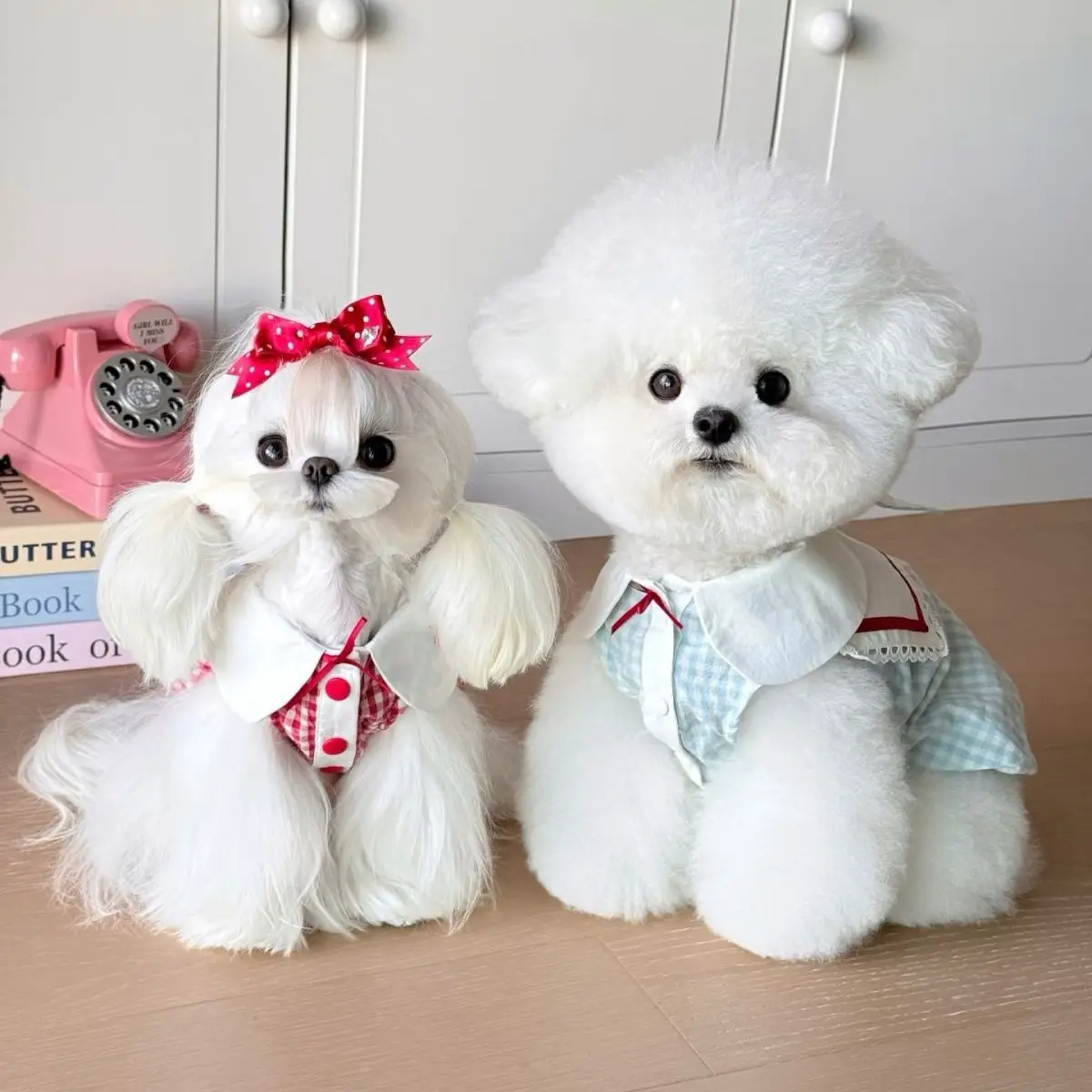 Pet Checkered Dress Spring Teddy Bear Small Pumpkin Dress Thin Schnauzer Cat Vest Puppy Clothes for Small Dogs
Pet Checkered Dress Spring Teddy Bear Small Pumpkin Dress Thin Schnauzer Cat Vest Puppy Clothes for Small Dogs