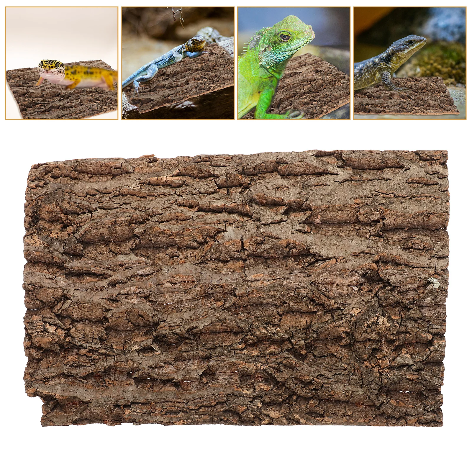 Natural Bark Background Panel Easy Install Durable Reptile Climbing Cork Bark Terrarium Reptile Tank Supplies Tortoise Platform
Natural Bark Background Panel Easy Install Durable Reptile Climbing Cork Bark Terrarium Reptile Tank Supplies Tortoise Platform