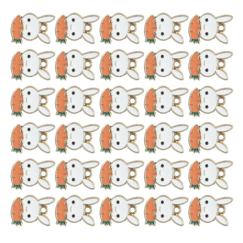 30 Pcs Locket Easter Ornaments DIY Jewelry Decoration Charm Accessories Orange Alloy Accessory
30 Pcs Locket Easter Ornaments DIY Jewelry Decoration Charm Accessories Orange Alloy Accessory