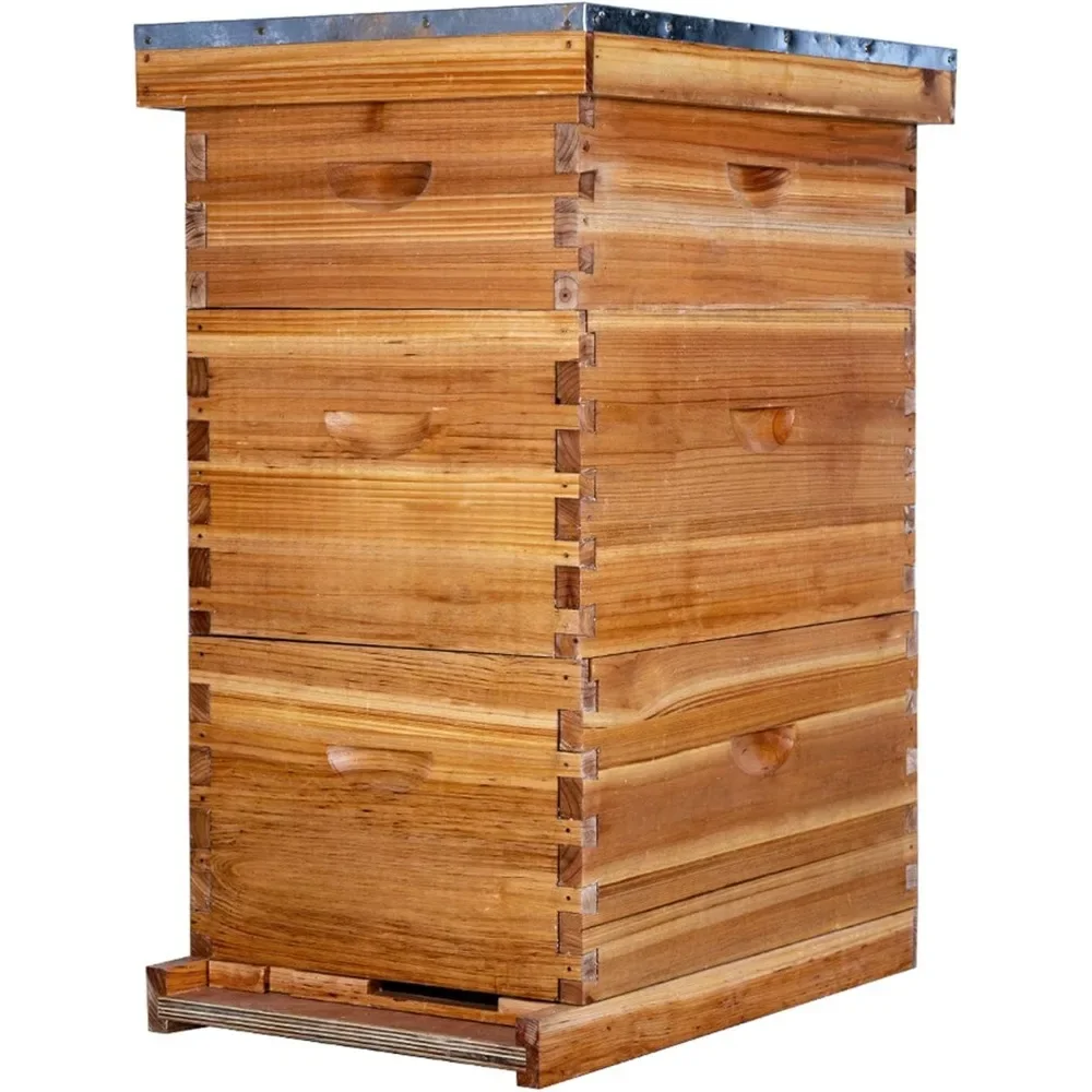 8 Frame Langstroth Bee Hive Coated with 100% Beeswax Includes Beehive Frames, 2 Deep Boxes & 1 Medium Box
8 Frame Langstroth Bee Hive Coated with 100% Beeswax Includes Beehive Frames, 2 Deep Boxes & 1 Medium Box